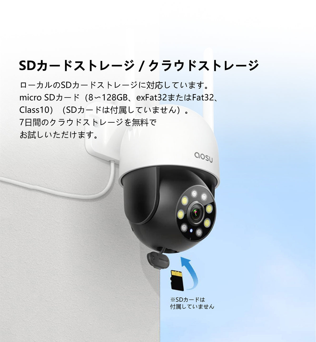 SD card storage/cloud storage