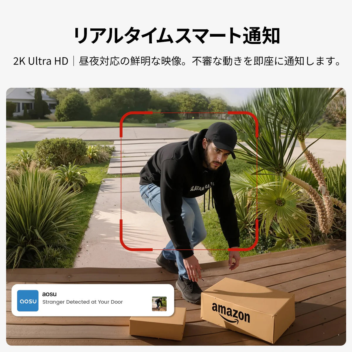 ソーラーカメラ D1 クラシック（6 カメラ）+ ビデオドアベルプロ + フラッドライトカメラプロ + インドアカメラ P1 プロ