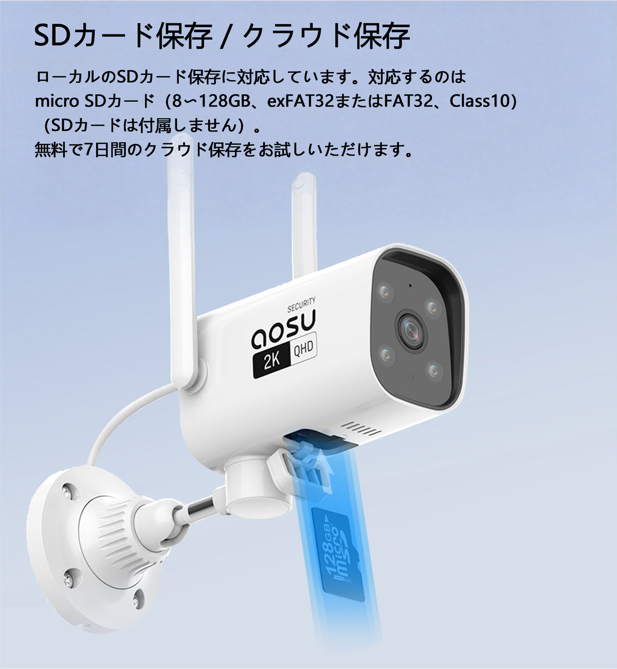 SD card storage/cloud storage